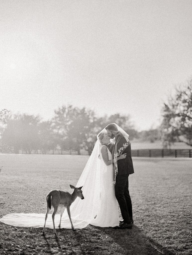 Texas Wedding Oaks at High Hill