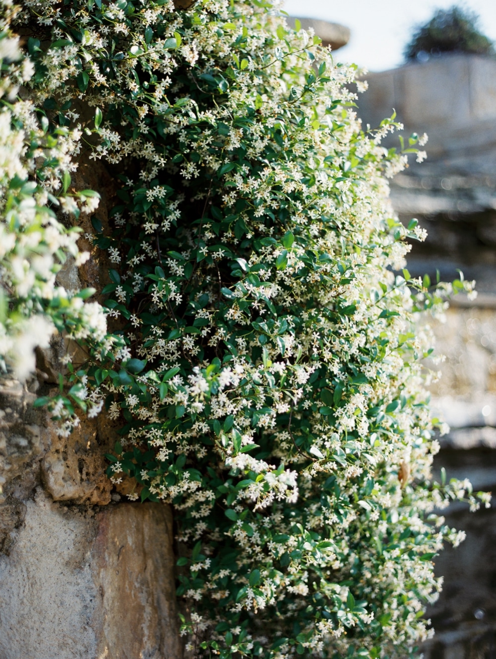 kristin-la-voie-photography-Austin-Wedding-Photographer-Villa-Del-Lago-38