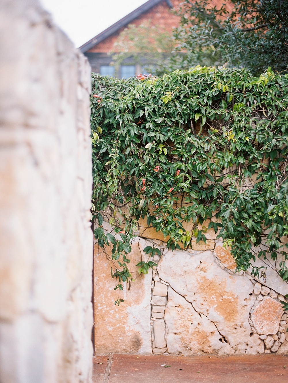 Kristin-La-Voie-Photography–365