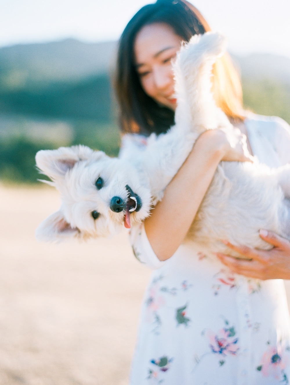 Kristin-La-Voie-Photography-california-wedding-photographer-dog-session-rancho-san-antonio-los-altos-27