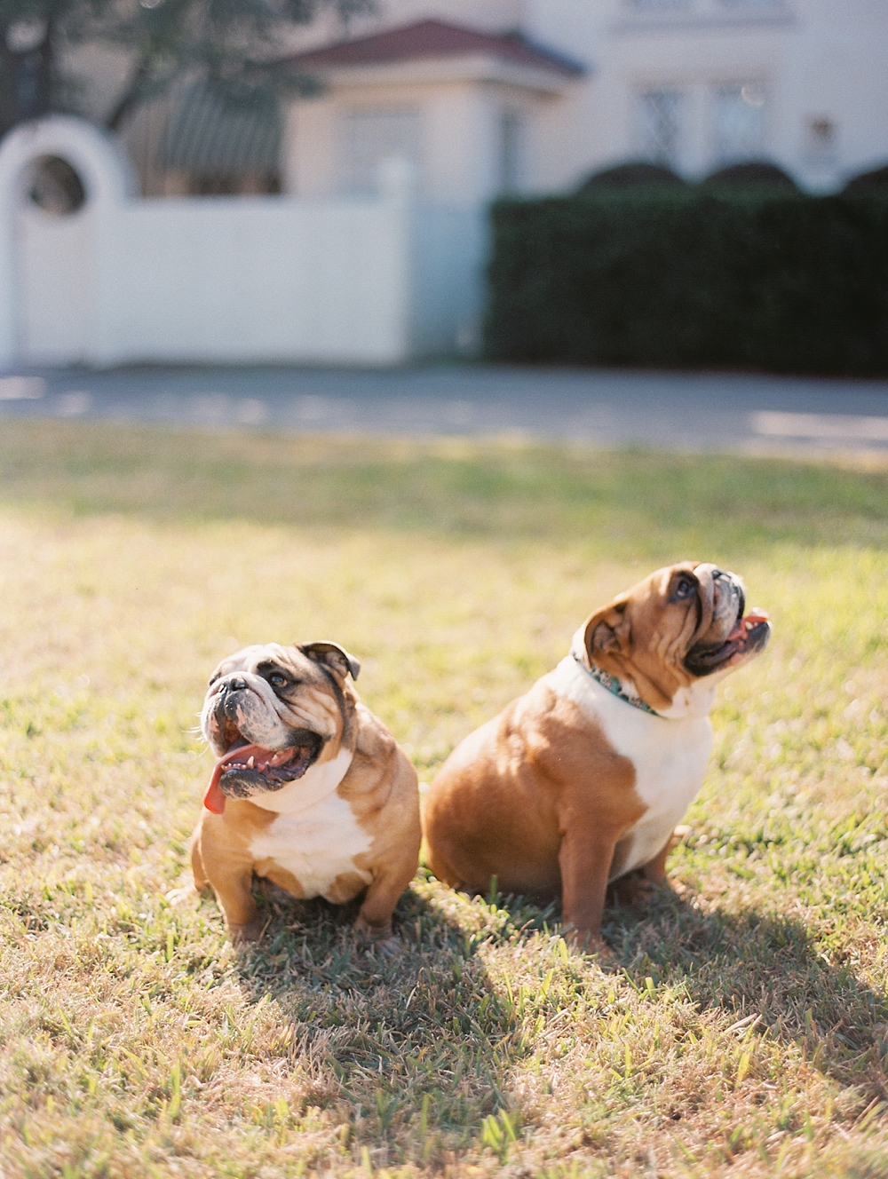 kristin-la-voie-photography-Austin-Wedding-Photographer-laguna-gloria-commodore-perry-estate-engagement-69