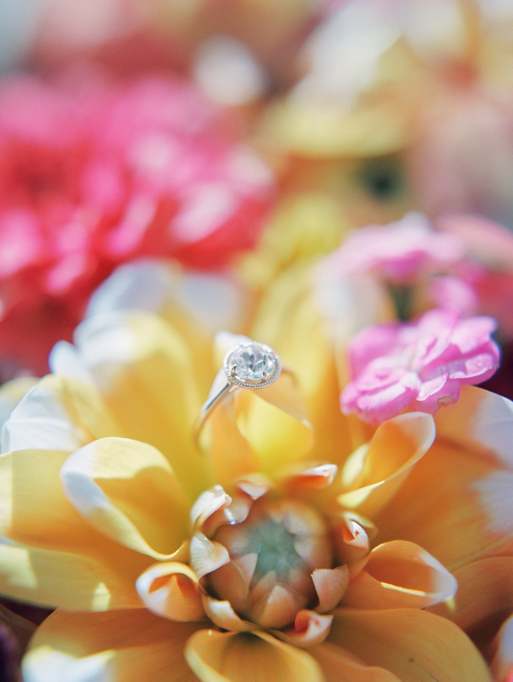 Kristin-La-Voie-Photography-dallas-wedding-photographer-19