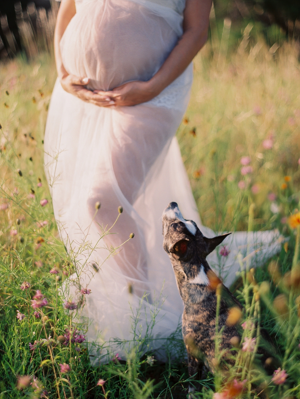 Austin Texas Maternity Photographer