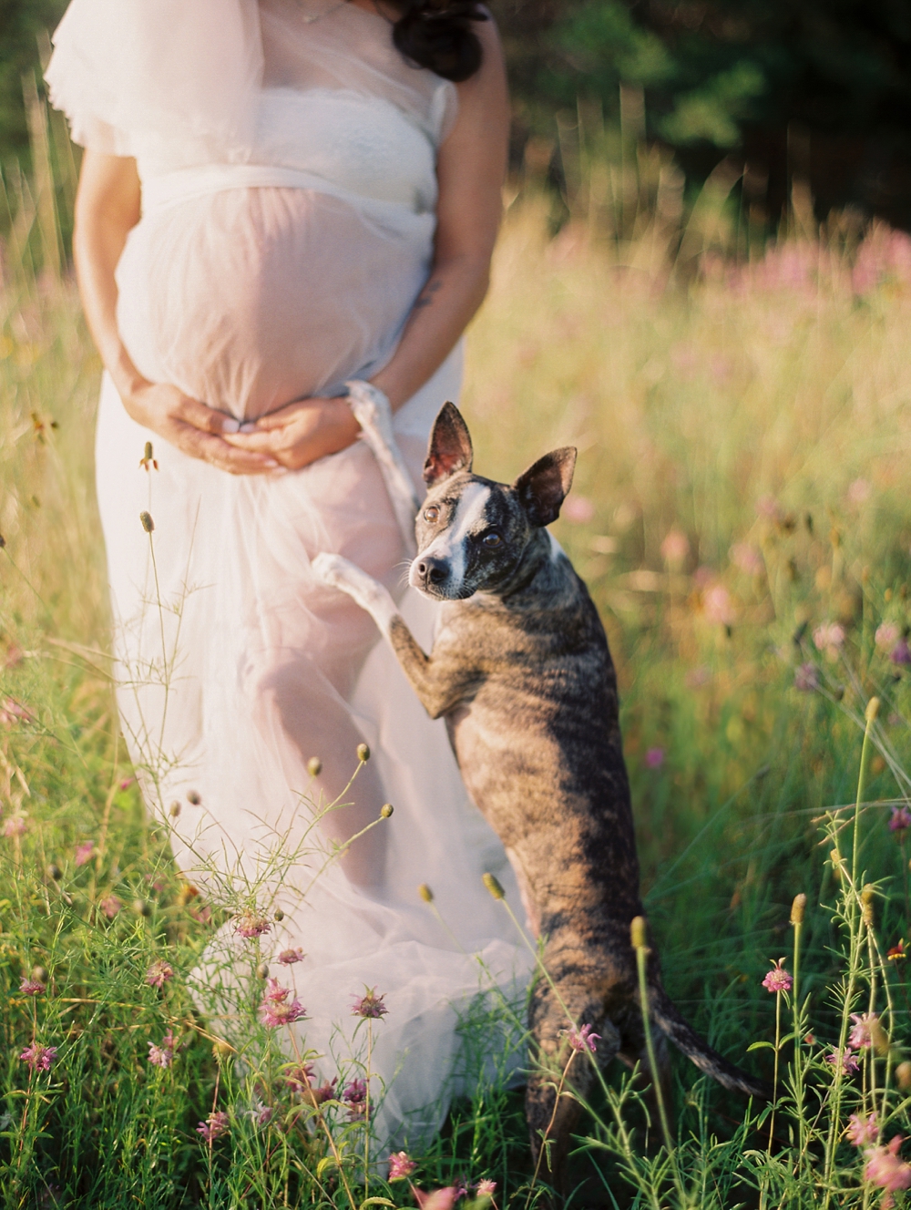 Austin Texas Maternity Photographer