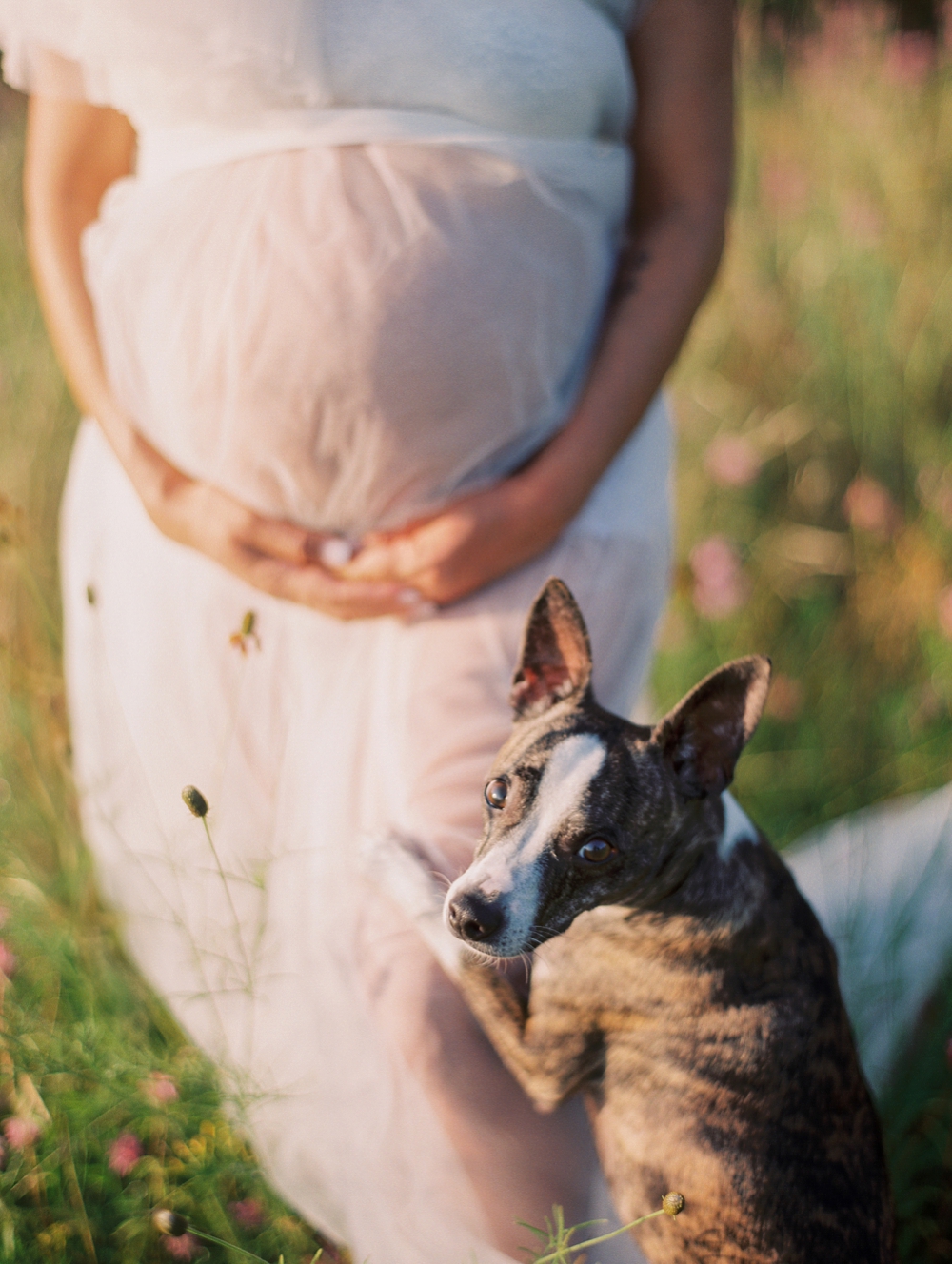 Austin Texas Maternity Photographer